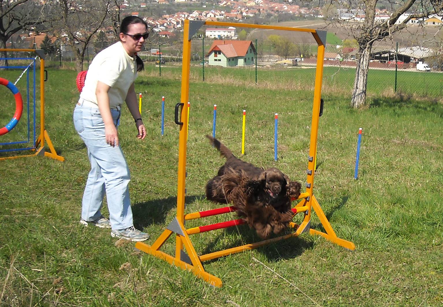 baf02.jpg