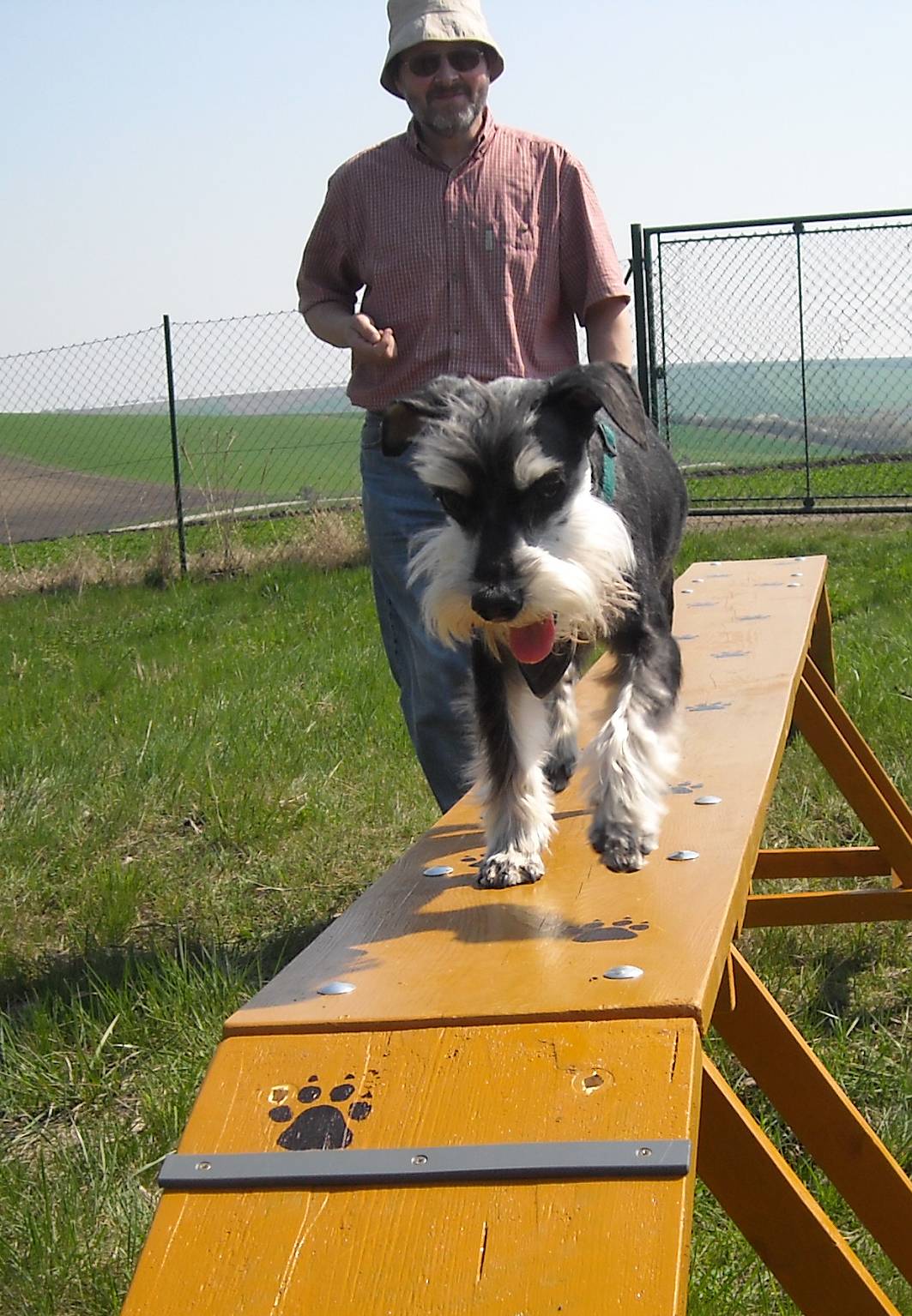 baf06.jpg