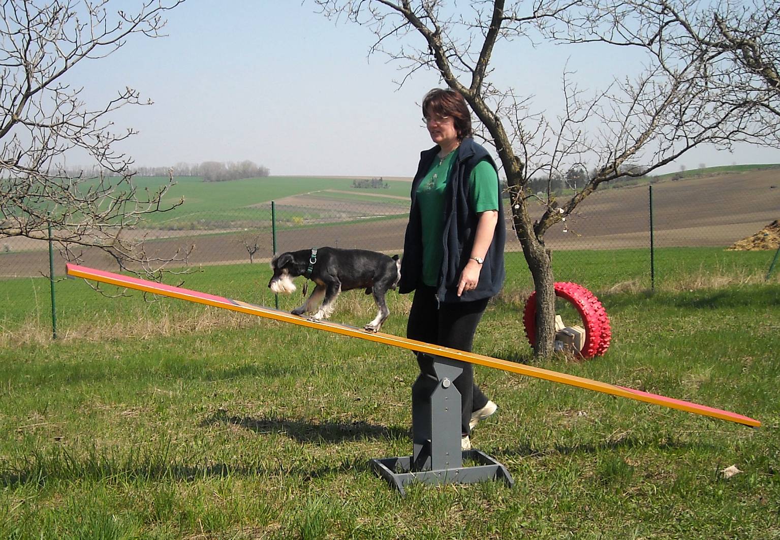 baf09.jpg